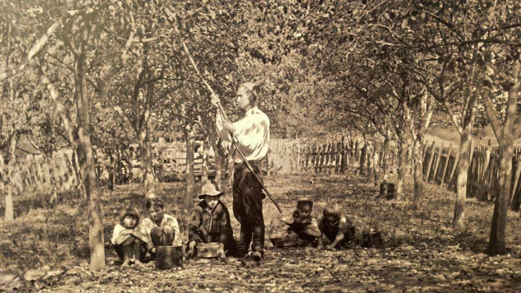 istorija-1-org-1024x575